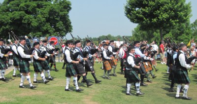 pipers gallabrae