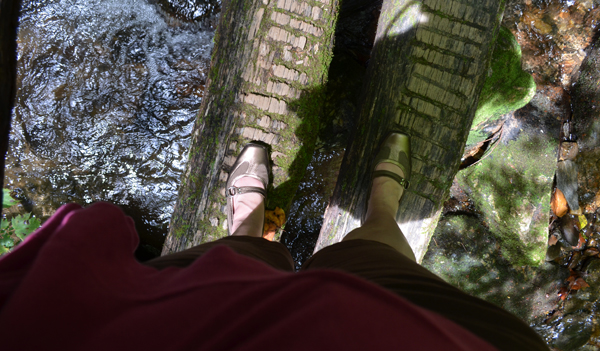 Pisgah National Forest