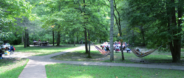 picnic spot at pisgah national forest