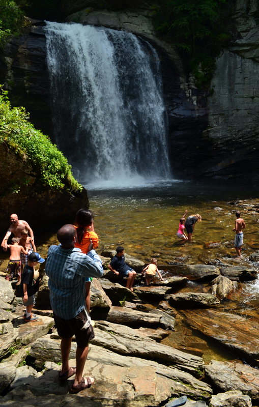  FOrest Looking Glass Falls