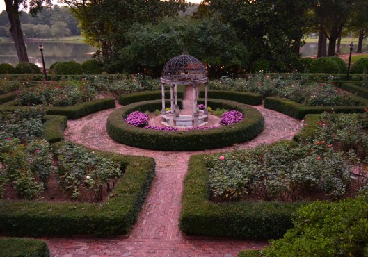 furman rose garden