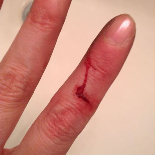 1604643_10151917447902233_916864272_n